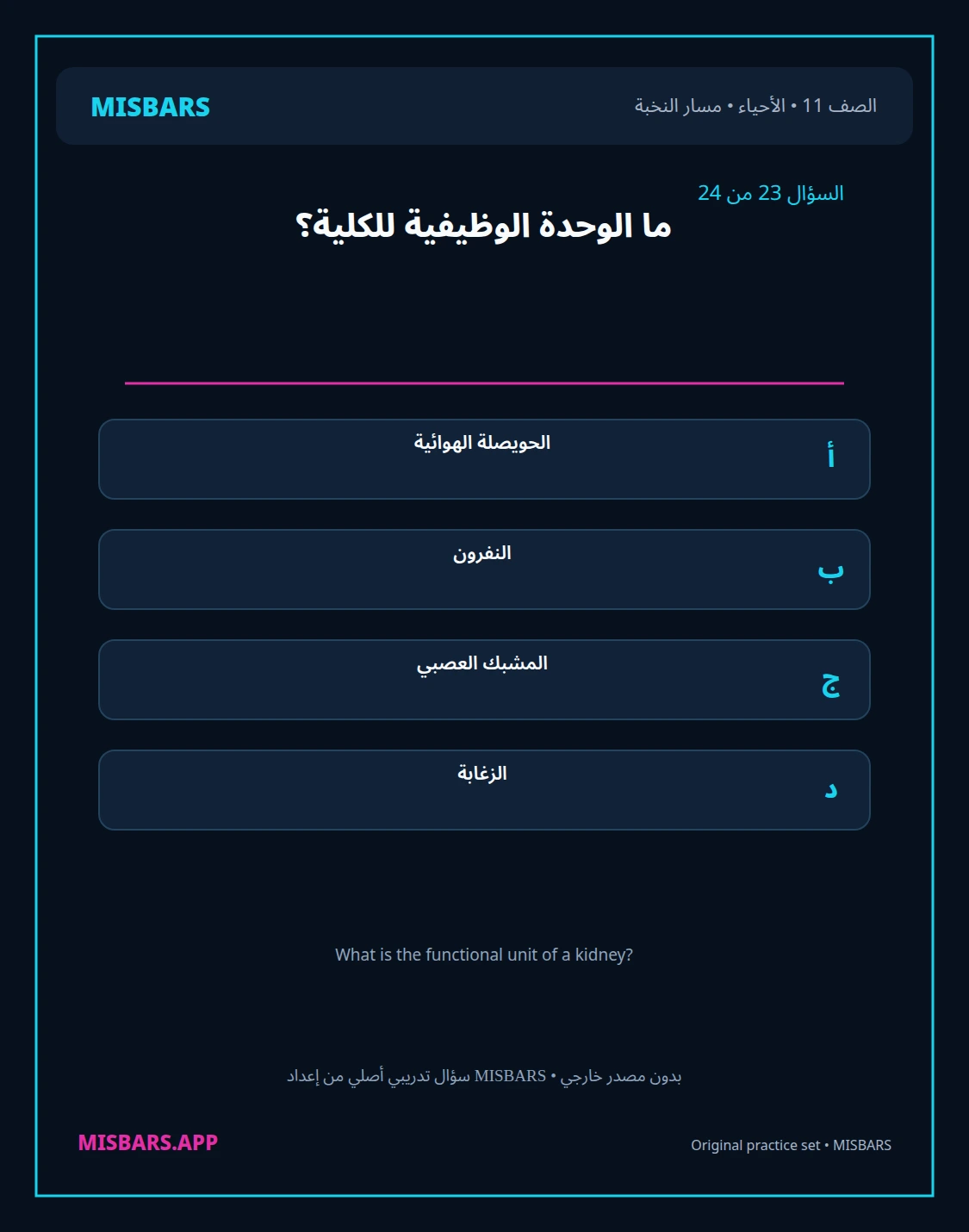 misbars من إعداد مِسبار مسار النخبة الصف 11 الأحياء الفصل الدراسي الأول — صور أسئلة واختبارات تدريبية في مِسبار، صفحة 24، صورة ورقة تدريبية قابلة للمراجعة للطلاب في الإمارات