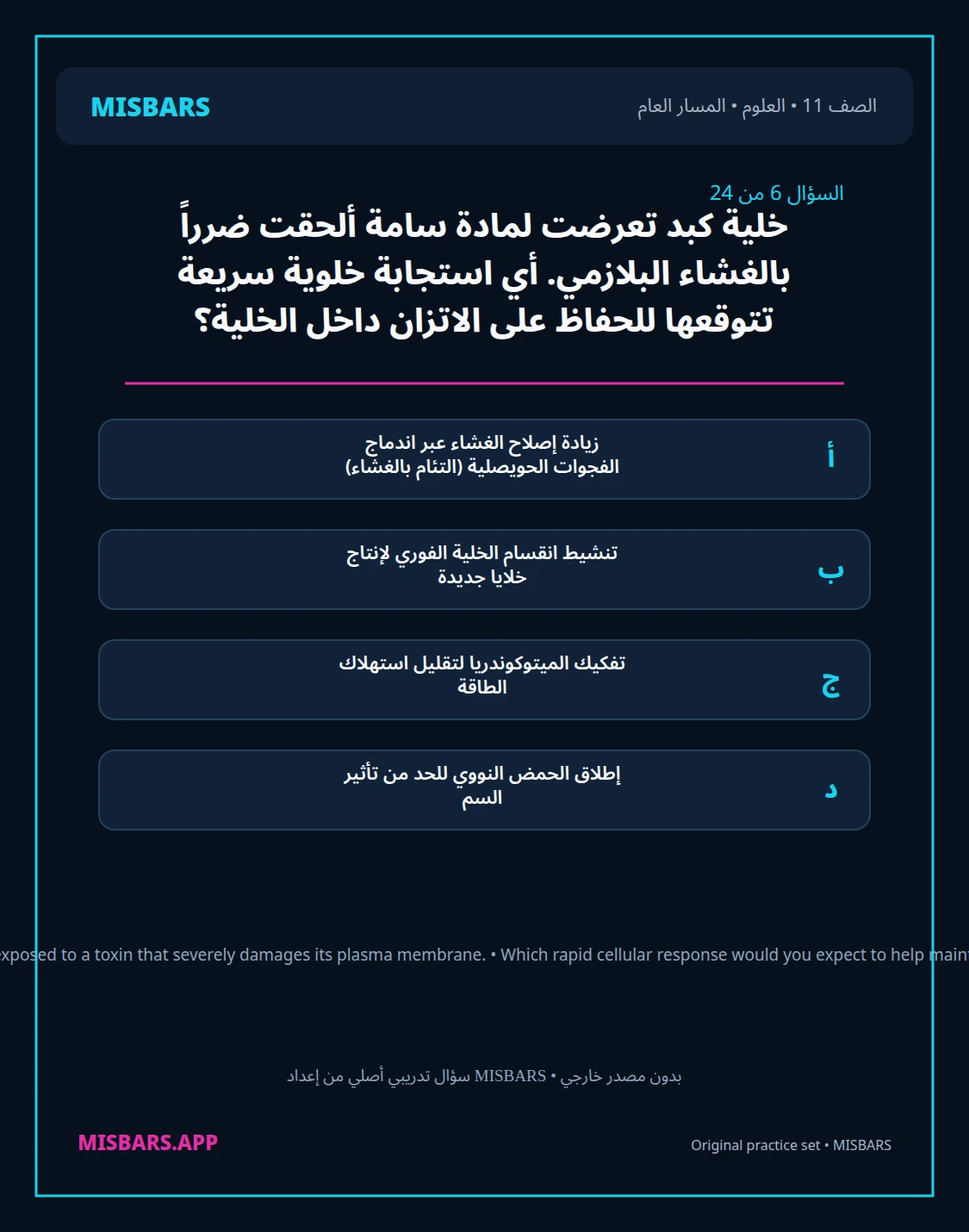misbars من إعداد مِسبار المسار العام الصف 11 science الفصل الدراسي الأول — صور أسئلة واختبارات تدريبية في مِسبار، صفحة 07، صورة ورقة تدريبية قابلة للمراجعة للطلاب في الإمارات